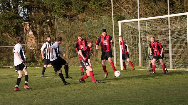 俊晖执剑之 俊晖执剑之