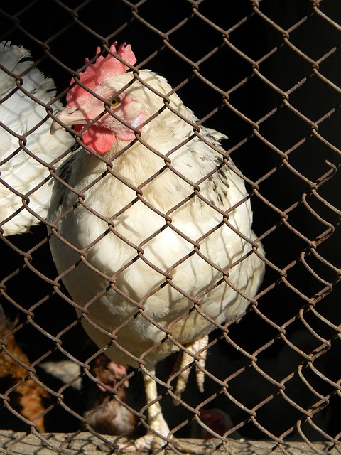 无论如何 无论如何