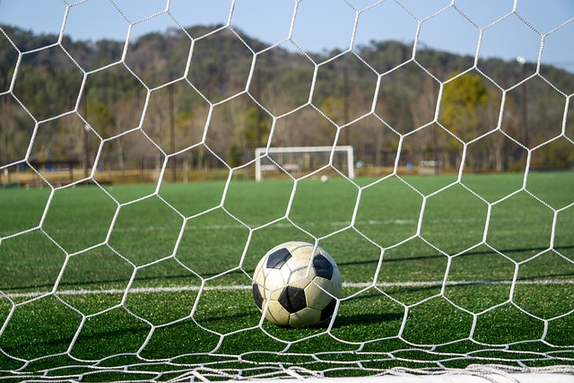 一种新颖的 一种新颖的