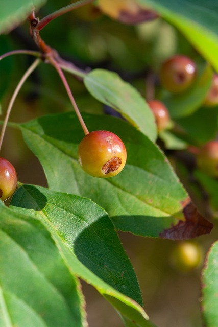 军亲自指导 军亲自指导