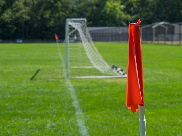 归化球员 归化球员