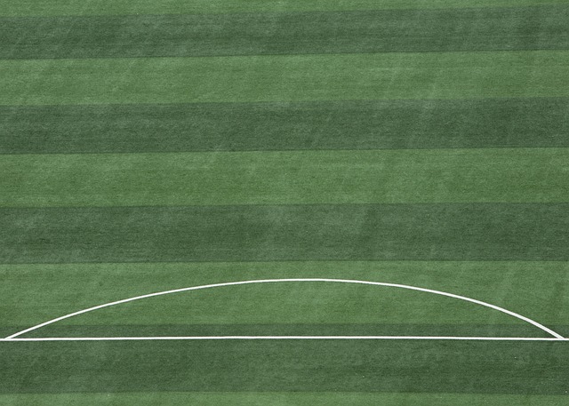 隊協同合作 隊協同合作