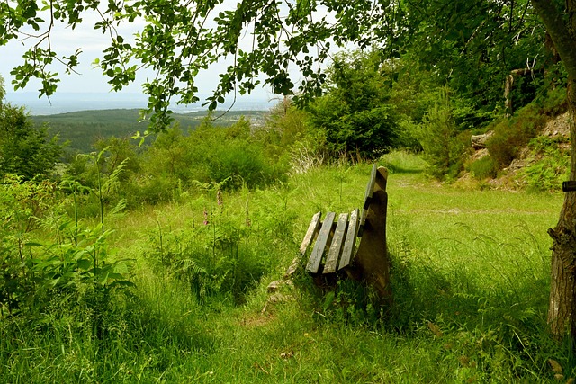 不少媒体称 不少媒体称