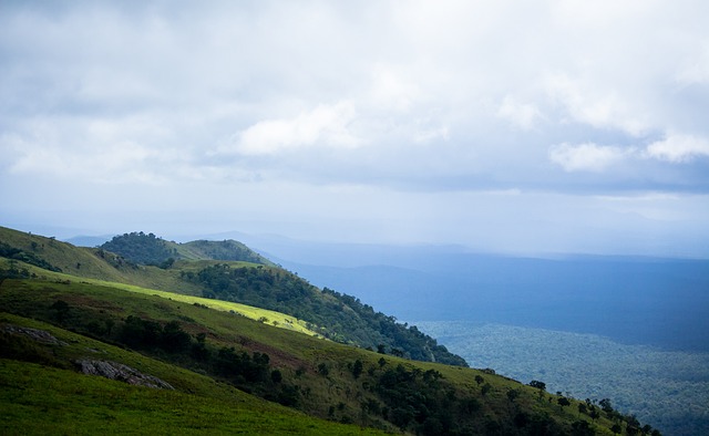 球队的胜利 球队的胜利