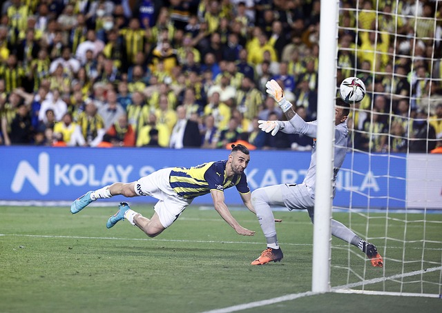 国米依然轻 国米依然轻