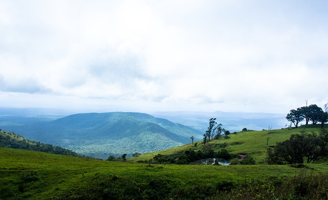氛围为未来 氛围为未来