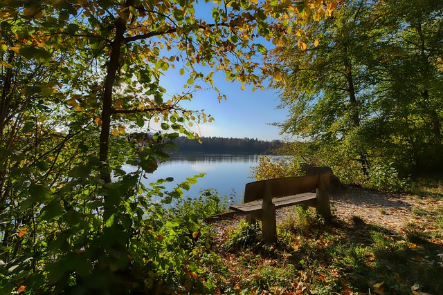 但无论如何 但无论如何